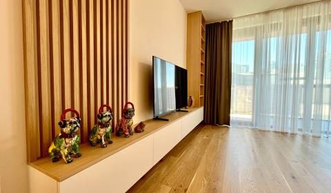Sale One bedroom apartment, One bedroom apartment, Cvernovka, Bratisla