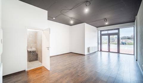 Sale Commercial premises, Commercial premises, Trnavská, Pezinok, Slov