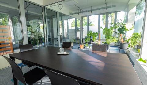 Rent Offices, Offices, Račianska, Bratislava - Nové Mesto, Slovakia
