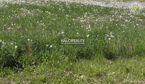 Sale Land – for living, Nové Zámky, Slovakia