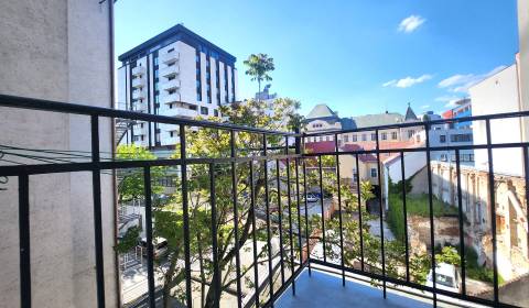 Rent One bedroom apartment, One bedroom apartment, Grösslingova, Brati