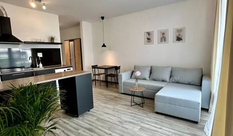 Rent One bedroom apartment, One bedroom apartment, Zuzany Chalupovej,