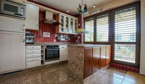 Sale Family house, Family house, Ilava, Slovakia