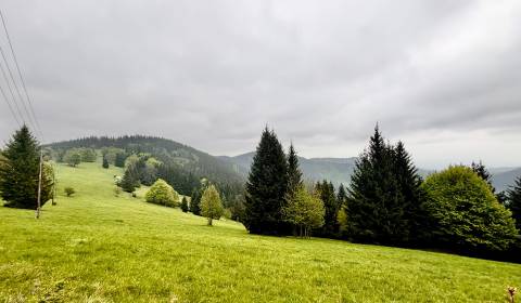 Sale Recreational land, Recreational land, Gregušovci, Čadca, Slovakia