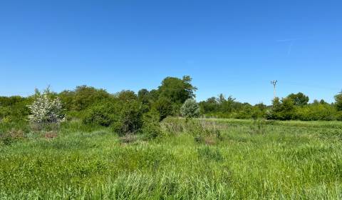 Sale Land – for living, Land – for living, Piešťany, Slovakia