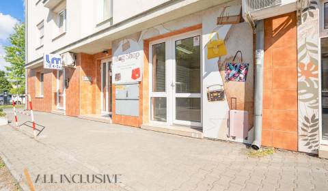 Rent Commercial premises, Commercial premises, Dunajská Streda, Slovak