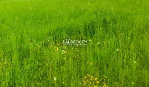 Sale Land – for living, Púchov, Slovakia