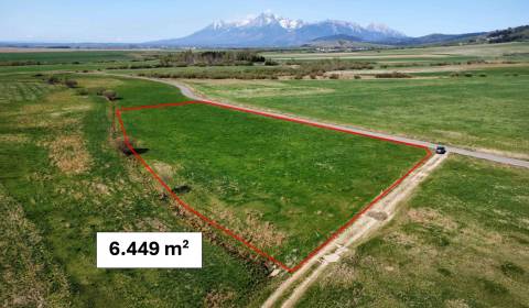 Sale Agrarian and forest land, Agrarian and forest land, Kežmarok, Slo