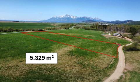 Sale Agrarian and forest land, Agrarian and forest land, Kežmarok, Slo
