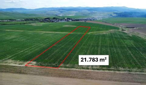 Sale Agrarian and forest land, Agrarian and forest land, Kežmarok, Slo