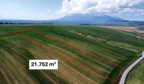 Sale Agrarian and forest land, Agrarian and forest land, Kežmarok, Slo