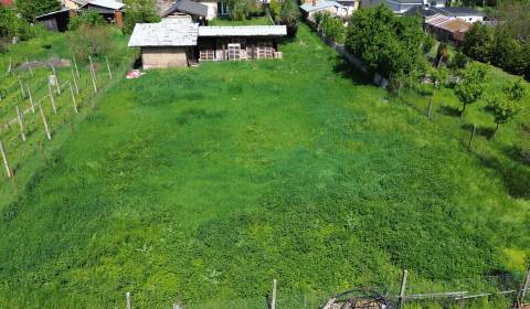 Sale Land – for living, Land – for living, Mlynská, Trnava, Slovakia