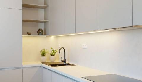Sale One bedroom apartment, One bedroom apartment, Sad kpt. Nálepku, I