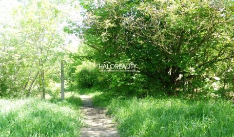 Sale Land – for living, Trnava, Slovakia