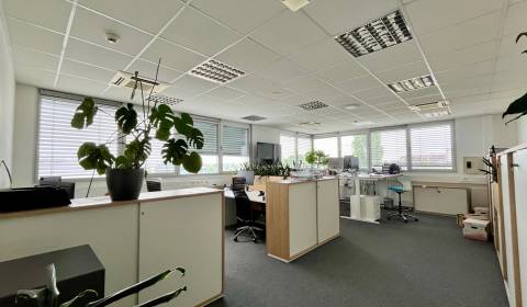 Rent Offices, Offices, Gagarinova, Bratislava - Ružinov, Slovakia