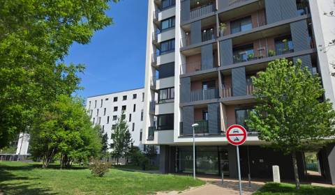 Rent One bedroom apartment, One bedroom apartment, Seberíniho, Bratisl