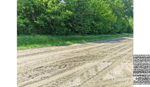 Sale Agrarian and forest land, Agrarian and forest land, Bernolákovo -