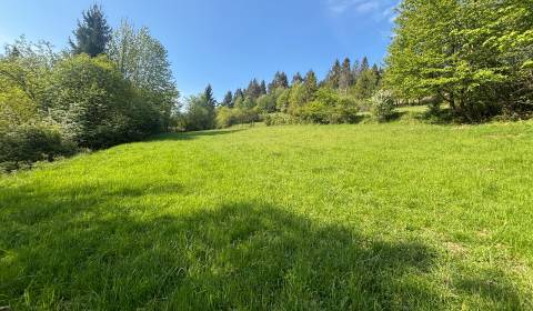 Sale Recreational land, Recreational land, Rieka, Čadca, Slovakia