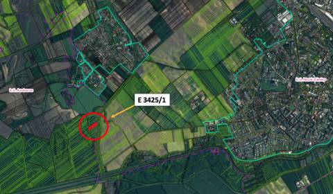 Sale Agrarian and forest land, Agrarian and forest land, Nové Zámky, S