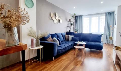 Rent One bedroom apartment, One bedroom apartment, Ľudmily Podjavorins