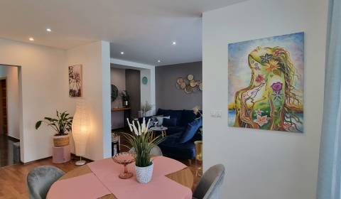 Rent One bedroom apartment, One bedroom apartment, Ľudmily Podjavorins