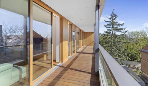 Rent Three bedroom apartment, Three bedroom apartment, Bradlianska, Br