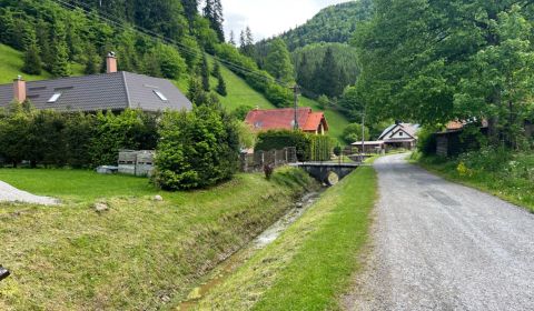 Sale Agrarian and forest land, Agrarian and forest land, Motyčky, Bans