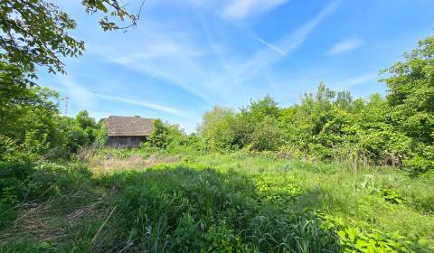 Sale Land – for living, Land – for living, Výtocká, Piešťany, Slovakia