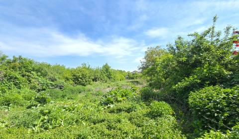 Sale Land – for living, Land – for living, Výtocká, Piešťany, Slovakia