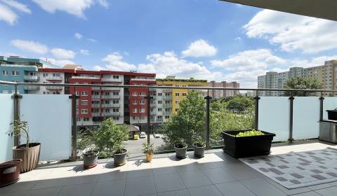 Sale One bedroom apartment, One bedroom apartment, Bosákova, Bratislav