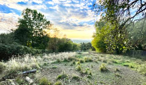 Sale Recreational land, Recreational land, Borinka, Malacky, Slovakia