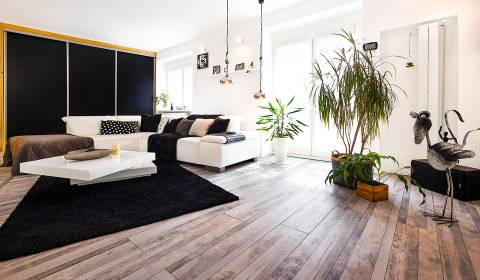 Sale Three bedroom apartment, Three bedroom apartment, Černockého, Bra