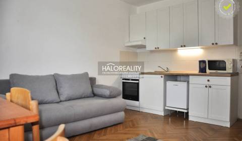 Rent Single studio, Levice, Slovakia