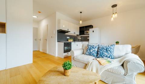 Rent One bedroom apartment, One bedroom apartment, Polianky, Bratislav