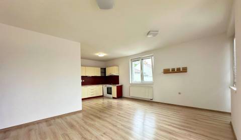 Rent One bedroom apartment, One bedroom apartment, Ilava, Slovakia