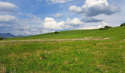 Sale Land – for living, Land – for living, Ludrová, Ružomberok, Slovak