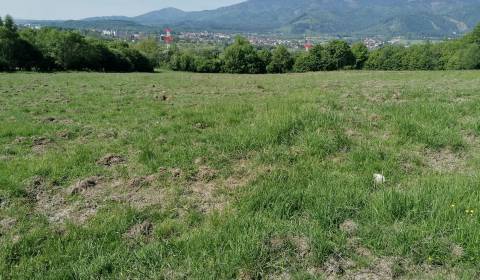 Sale Agrarian and forest land, Agrarian and forest land, Turčianske Kľ