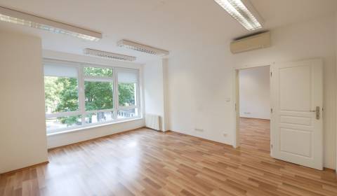 Rent Offices, Offices, Hviezdoslavovo námestie, Bratislava - Staré Mes