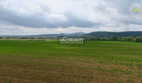 Sale Agrarian and forest land, Púchov, Slovakia