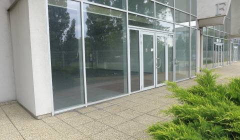 Rent Storehouses and Workshops, Storehouses and Workshops, Bratislava 