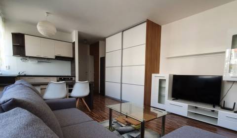 Rent Studio, Studio, Silvánová, Pezinok, Slovakia