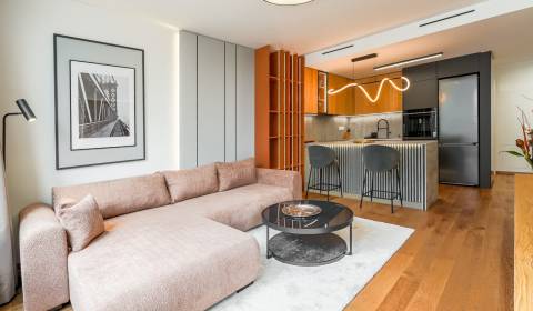 High standard, design 1bdr apt 53m2, loggia, parking, VYDRICA