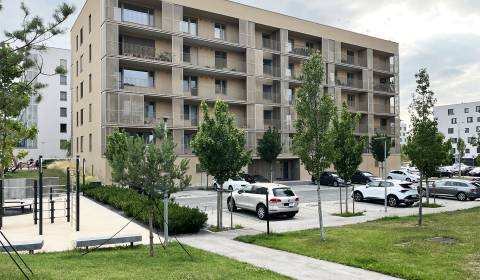 Rent One bedroom apartment, One bedroom apartment, Jána Langoša, Brati
