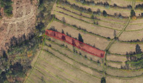 Sale Agrarian and forest land, Agrarian and forest land, Brezno, Slova