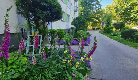 Sale One bedroom apartment, One bedroom apartment, Špačinská cesta, Tr