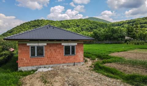 Sale Family house, Family house, Ilava, Slovakia
