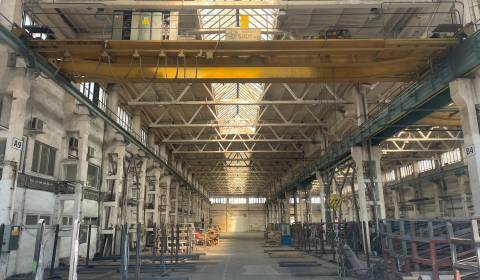 Rent Storehouses and Workshops, Storehouses and Workshops, Skladová, T
