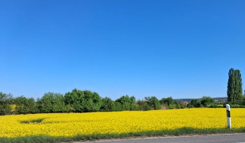 Sale Agrarian and forest land, Agrarian and forest land, Malacky, Slov
