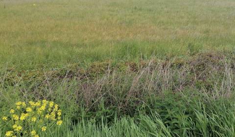 Sale Land plots - commercial, Land plots - commercial, Sučany, Martin,