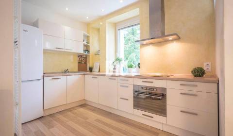 Rent One bedroom apartment, One bedroom apartment, Wilsonova, Bratisla